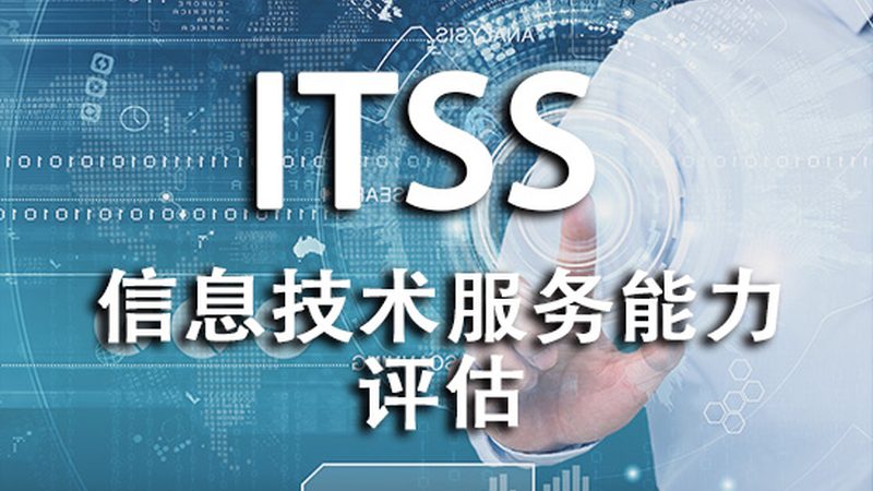 北京政府单位软硬件采购标准解析：合规与效率的平衡之道**